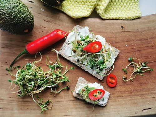 Har du hørt om knekkebrøddietten? Har du hørt om knekkebrøddietten?